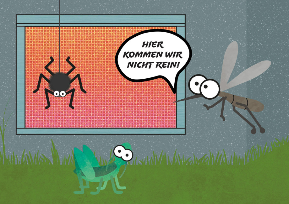 insektenschutzgitter, fliegengitter Niederkassel, Troisdorf, Siegburg, Porz, Bonn